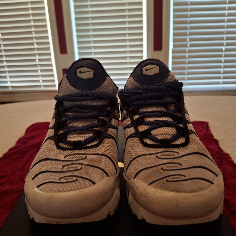 Nike Blue and White Sneakers Modern Design